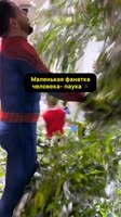 8505971903076.mp4