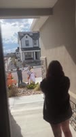 17738838.mp4