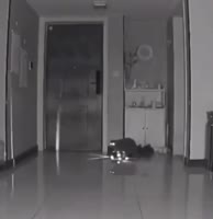 rgikwbpws0f0d33m0576x592.mp4