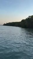 a5Qxzgy460sv.mp4