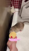 KXhTAtJSvmc9jayPMQhci7bpzr.mp4