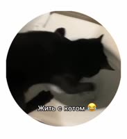 09025091023013759.mp4