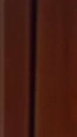 proxy (4).mp4