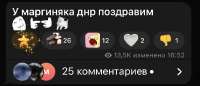 IMG2695.jpeg
