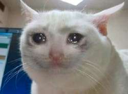 IMG4613.jpeg