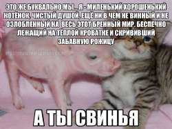 5VNyvBEH8baD5yfkQmYW9sZ4UbPn-yLpxlGYtutOa8vX2qxgIPswhn8TaDgF1W4hbzousiEPYfP8SRH61N068K1.jpg