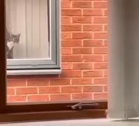 0920250824072932145.mp4