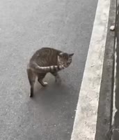 250824072944470.mp4