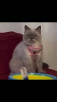 aeBx9wcXqpj0xQfFQNHRrEjuqbw.mp4