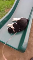 k93lDFeWvYbzDTY8fGw0p4iX7p80.mp4