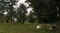0250824193829558.mp4