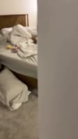 😍🐶 lo mas bello que veras hoy!🎥 tik tok- chaosthechihuahua.mp4