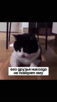 64778383.mp4