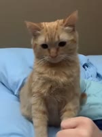 553820202029.mp4