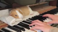 Clair de lune debussy.mp4