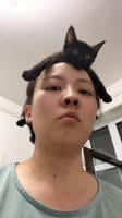 74930093.mp4