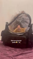 6wbFMQfBuXb7X78H8CgZXN.mp4