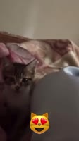PjiMi74cIjqx2hNs9UPCLlBFEw.mp4