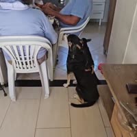K4thrr3QHJg5ifzMUtAfwRFbLcVM.mp4