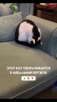 znDtcnnXxZHQggcUaEasH6zQk.mp4