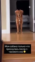 BMLnXoRag2UaNWQoN4v2nEkY.mp4