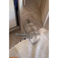 lRvuxyyZ7Jvqr34roKU5t620.mp4