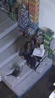 Как мы с Сарой делаем инвентаризацию ☺️ Очень люблю эту малявку 😍, а главное это взаимно #кошки.mp4
