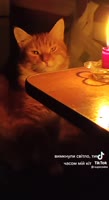 16980090130490.mp4