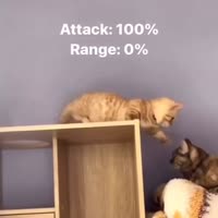 17264627193071.mp4