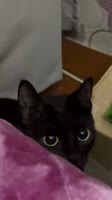 7855905055.mp4