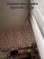 8695959.mp4