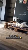 75995jgu8jgg7.mp4