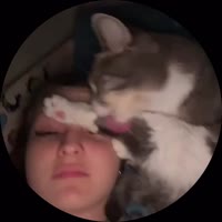 MRwxYpYwFfG3VP93W58NQEgrB.mp4