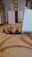 uh3OkmHk6uPsXH8eSlwFVjE.mp4