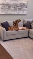 pDbSysjgZ3y-T9kNwf1PWFI-DDI.mp4