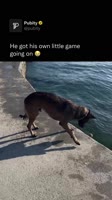 85849994.mp4