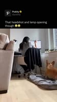 987hhtb6788.mp4