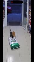 XANCeLnfAvslzWnhhD1H4t05qJ9eD0.mp4