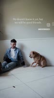 VID-20251006-WA0002.mp4