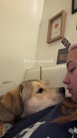 095958333.mp4