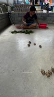 Please grow up quickly..mp4