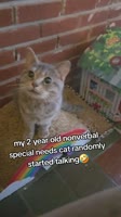 ssstik.io@nikmatksback1768746976302.mp4