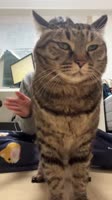 video2026-01-2507-16-11.mp4