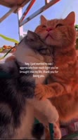SaveClip.AppAQOtksnvtH6FAUj6jYBCOlyJVA0dqZDH-0-gVuMumevygtKeSl5aScN44UQF3Bmt9VgbhBFKdNdA3DudBIYUYI1bwvaL-9U1DtSj5ZY.mp4
