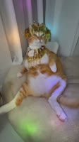 Family, my little Maumy is getting more and more outlandish with her play, what should I do Maum.mp4