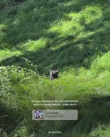 SaveClip.AppAQNfADVGeIR2thIIx8NQjLQd6RpOzKYuezxtfqePstowrs-NrmSHZWahbpJ1toG4rIzcJhAITClSIRvaR411hIIuT78BfsEuVDGy7c.mp4