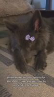 SaveClip.AppAQOnn4WpCn-59Trk4jNkeMftTaAPAD0Rjdg4sheWusXzFciajD1ErvYOjV1oPZyRDuJJjsBqCliCmuzUh5PzMtuuNJfMmbC2LGzsNP8.mp4