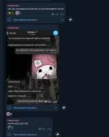 ппа.png
