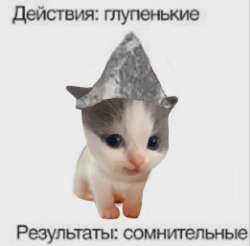 4f412eda2f1084cad713124fe8231699.webp