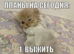 63b6b95d2d1acbb2d2647e14fbd9d351.webp